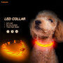 TINY DOG LED DOG COLLAR FOR SMALL DOGS NEW ARRIVAL